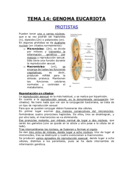 TEMA 14.pdf