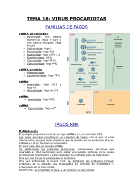 TEMA 16.pdf