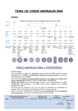 TEMA 18.pdf