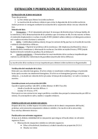 Extraccion-y-purificacion-acidos-nucleicos.pdf