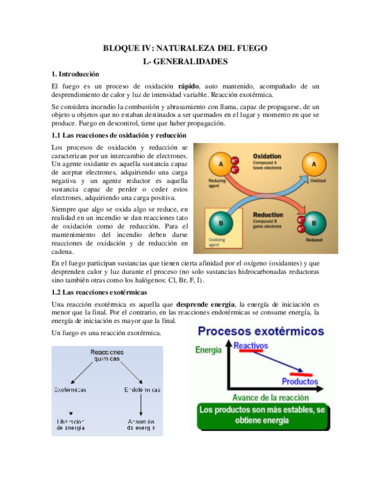 Bloque-IV.pdf