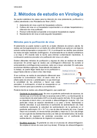 TEMA-2.pdf