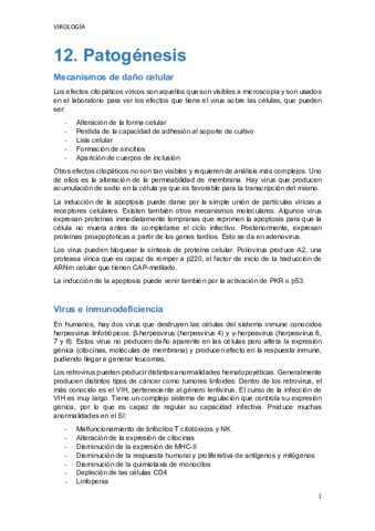 TEMA-12.pdf