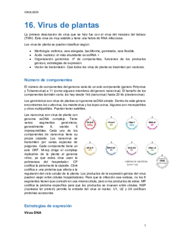 TEMA-16.pdf