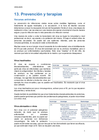 TEMA-13.pdf