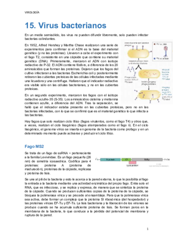TEMA-15.pdf