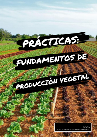 PRACTICAS-PRODUCCION-VEGETAL.pdf