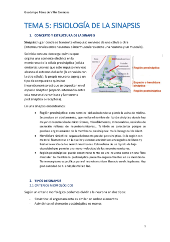 TEMA-5-Ampliacion-Fisio.pdf
