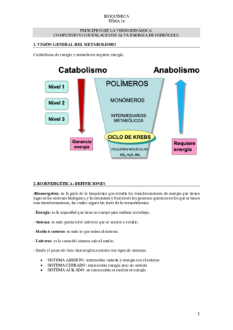 TEMA-16-BIOQUIMICA.pdf