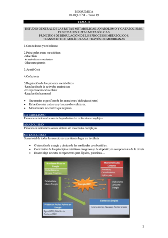 TEMA-19-bioquimica-.pdf