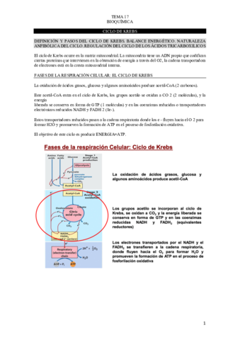 TEMA-17-BIOQUIMICA.pdf
