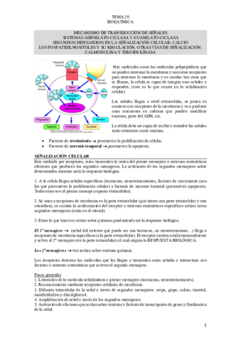 TEMA-20-BIOQUIMICA.pdf