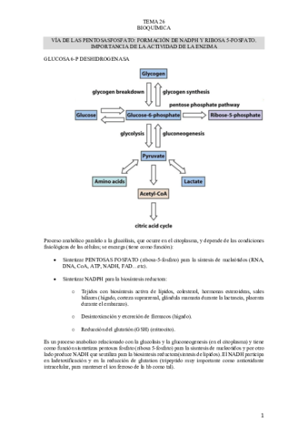 TEMA-26-BIOQUIMICA.pdf