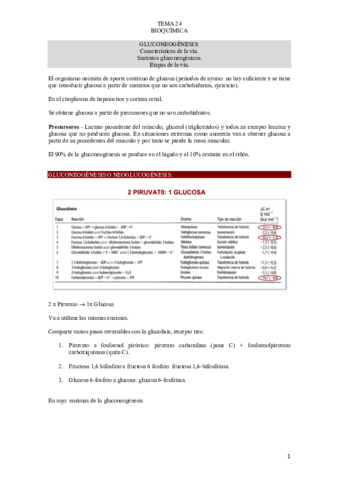 TEMA-24-BIOQUIMICA.pdf
