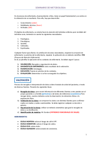 SEMINARIO-METODOLOGIA-.pdf