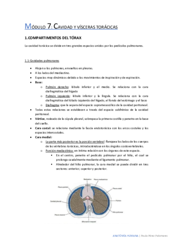 cavidades-del-torax.pdf