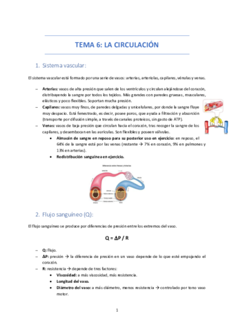 TEMA-6-LA-CIRCULACION.pdf