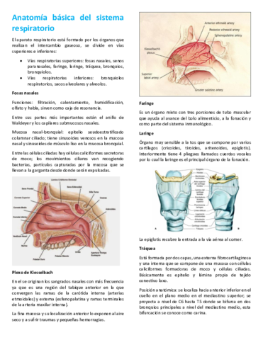 Anatomia-y-Fisiologia-Respiratoria.pdf