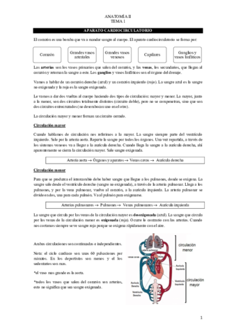 TEMA-1-ANATOMIA-II-.pdf