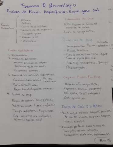 Apuntes-de-Pruebas-de-Funcion-Respiratoria.pdf