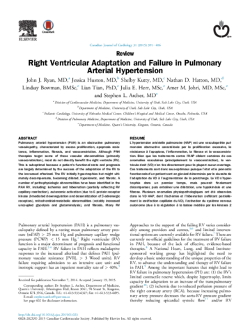 hioertensionpulmonarenglish-2.pdf
