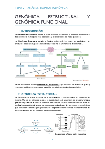 TEMA-2-GENOMICA-pdf.pdf