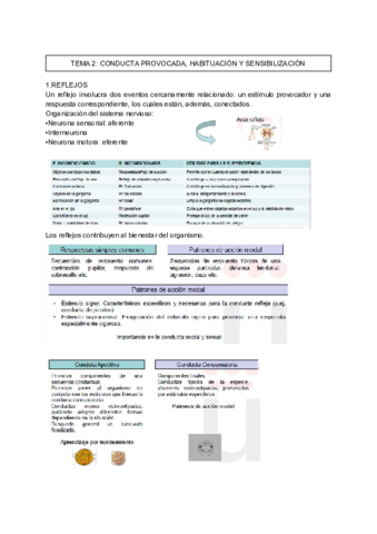 TEMA-2-P.pdf