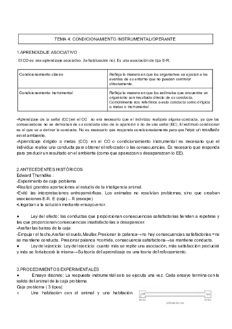 TEMA-4-P.pdf