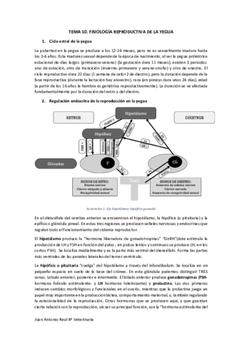 Tema-10.pdf