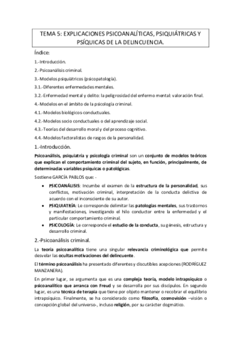 Criminalidad-TEMA-5.pdf