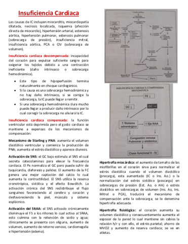 Guadalajara-17.pdf