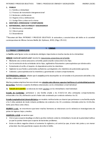 T5PATRONES-Y-PROCESOS-DELICTIVOSANDREA.pdf