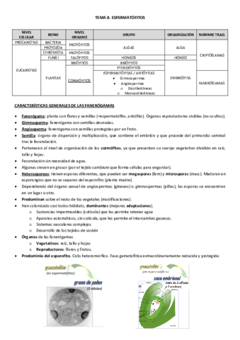 Botanica2parteBelen.pdf