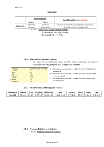 Apunts Fisiologia Mòdul 5 Bloc 2.pdf