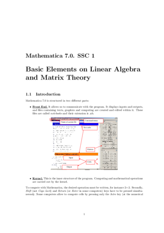 Mathematica-topic-1.pdf