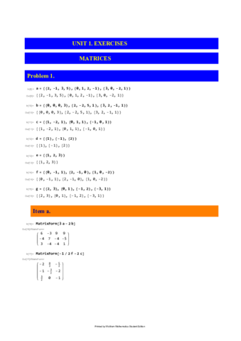 tem-1-soluciones.pdf