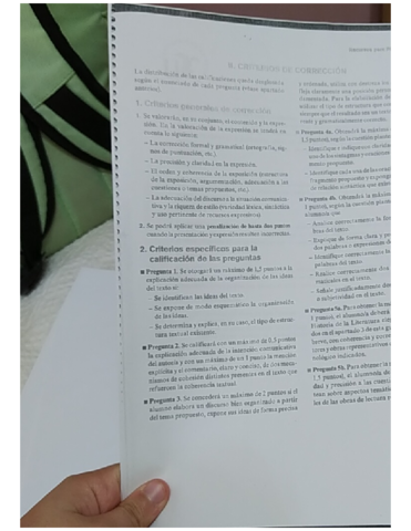 Criterios-de-correccion-lengua.pdf