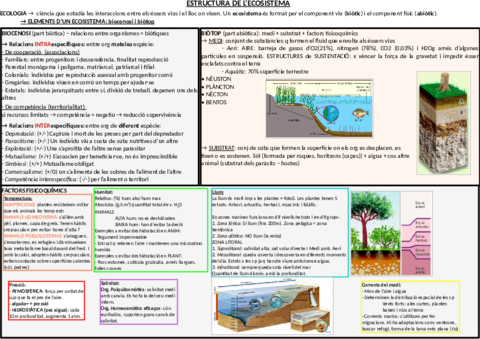 Esquema-ecosistema.pdf