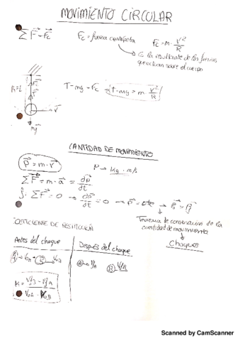 movimiento-circular-y-cantidad-de-movimiento.pdf