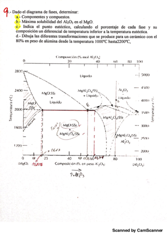 EJERCICIOS-DIAGRAMA-DE-FASES-E9.pdf