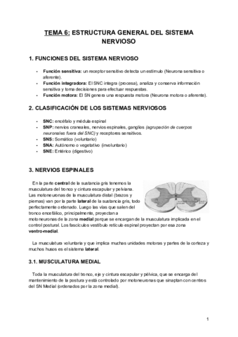 Tema-6-FCH.pdf
