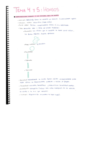 Tema-4-y-5.pdf