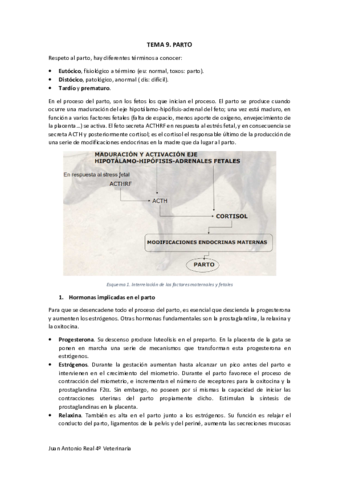 Tema-9.pdf