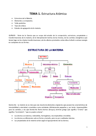TEMA 1.pdf
