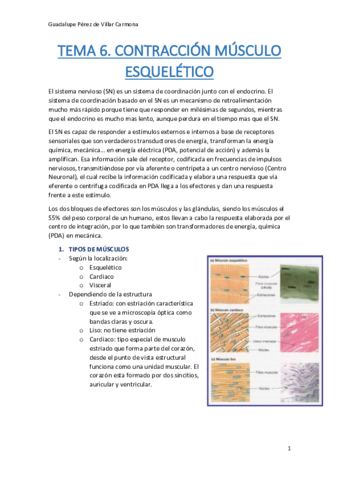 TEMA-6-AMPLIACION-FISIO.pdf