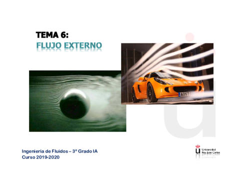 Tema-6-Flujo-Externo-2019-20.pdf