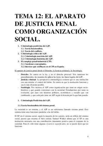 Tema 12. El aparato de justicia penal como organización social..pdf