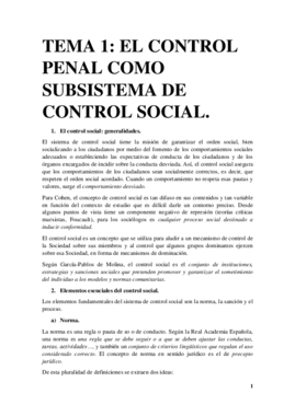 Tema 1. El control penal como subsistema de control social..pdf