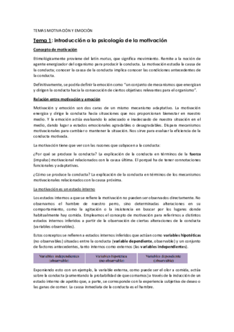 TEMAS-MOTIVACION.pdf