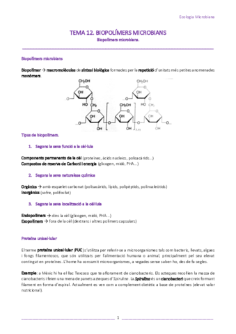 T12-Biopolimers-microbians.pdf